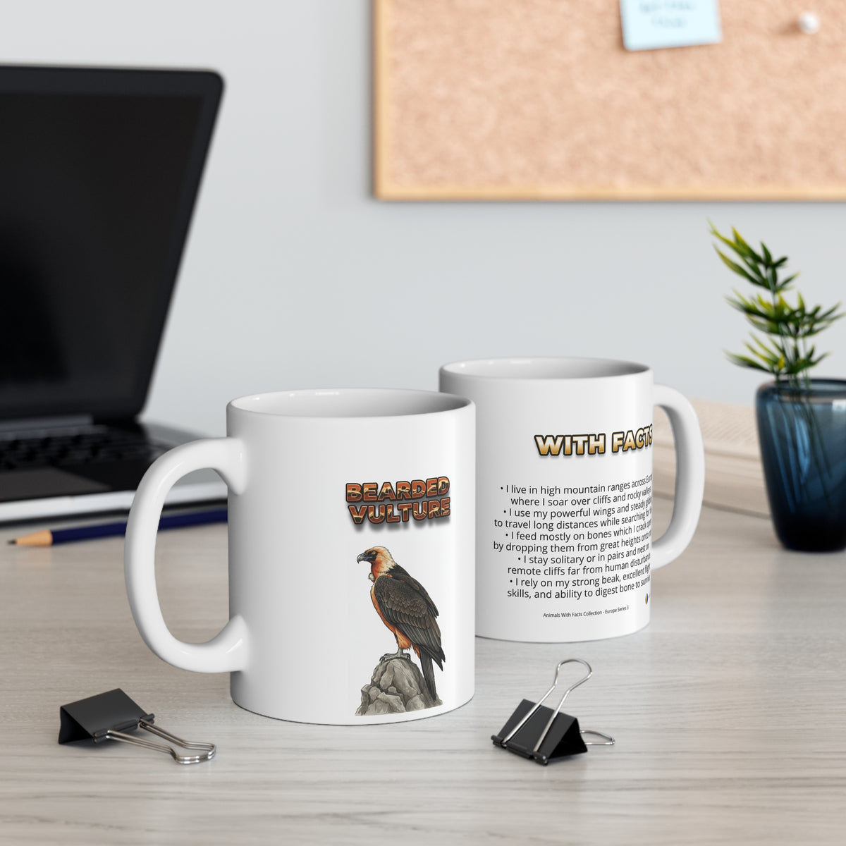 Bearded Vulture Coffee Mug – 11oz Ceramic Mug for Animals With Facts Series 3 Gifts