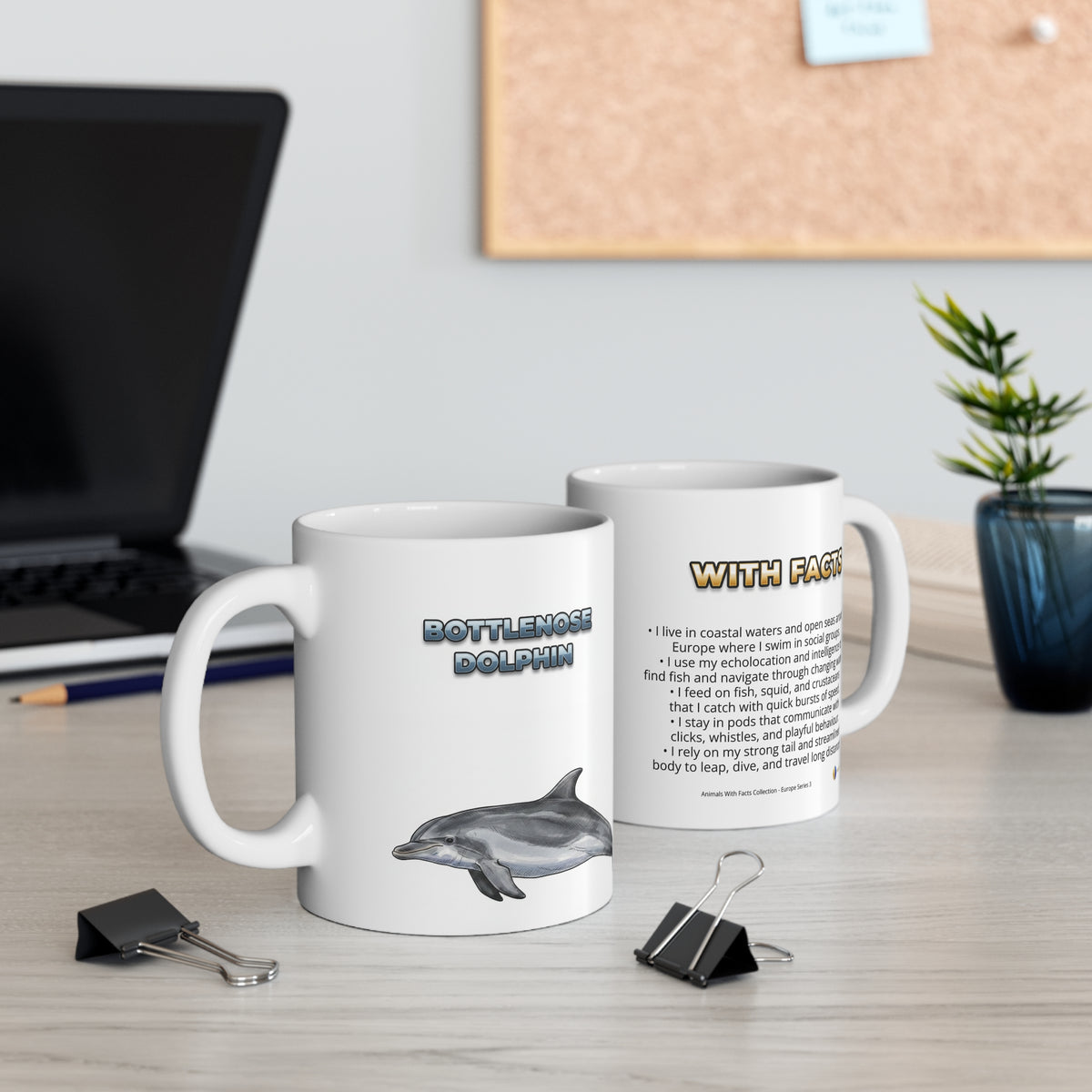 Bottlenose Dolphin Coffee Mug – 11oz Ceramic Mug for Animals With Facts Series 3 Gifts