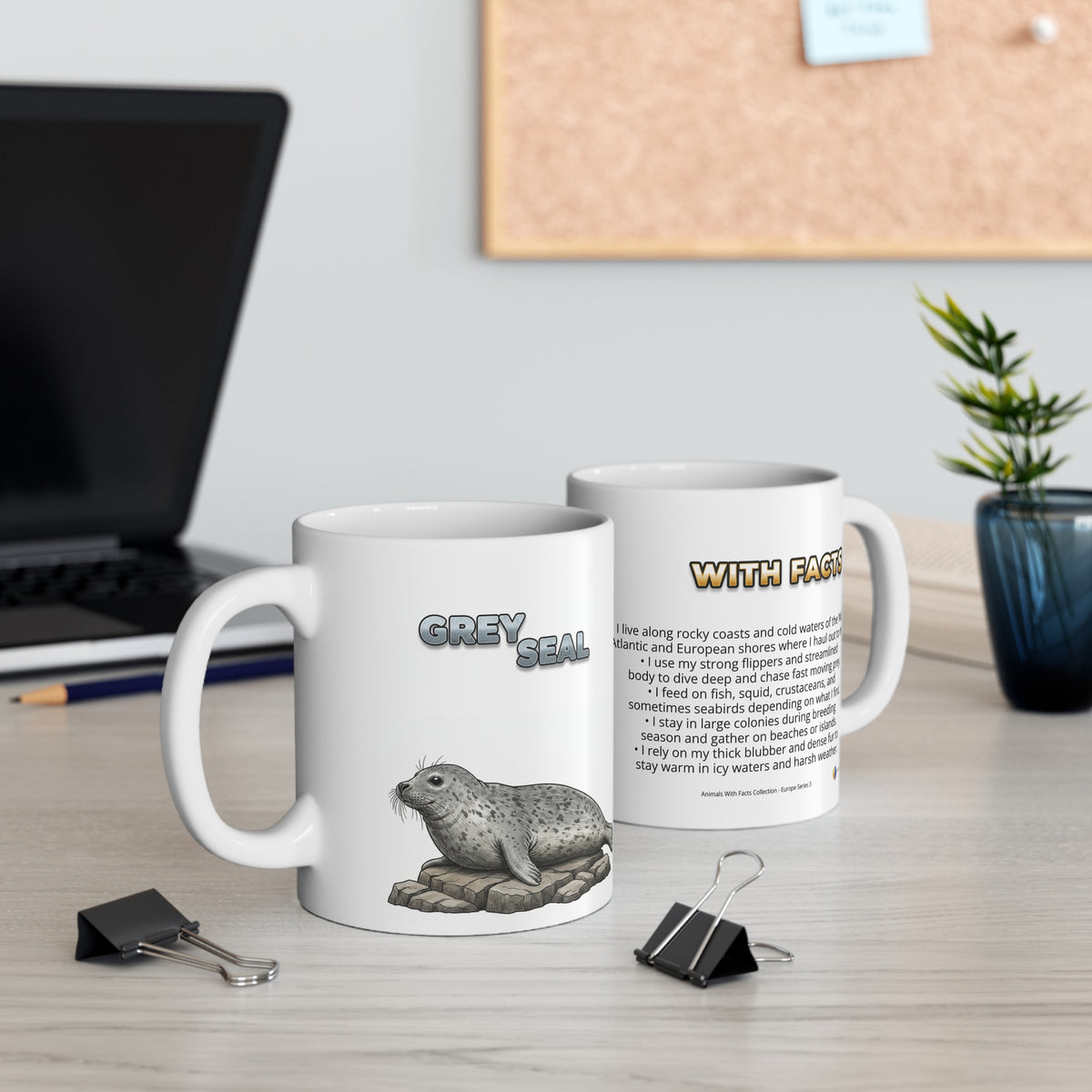 Grey Seal Coffee Mug – 11oz Ceramic Mug for Animals With Facts Series 3 Gifts