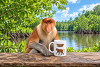 Proboscis Monkey Coffee Mug – 11oz Ceramic Mug for Animals With Facts Series 2 Gifts