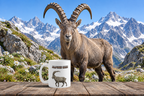 Alpine Ibex Coffee Mug – 11oz Ceramic Mug for Animals With Facts Series 3 Gifts