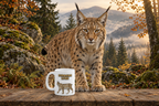 Eurasian Lynx Coffee Mug – 11oz Ceramic Mug for Animals With Facts Series 3 Gifts