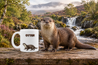 Otter Coffee Mug – 11oz Ceramic Mug for Animals With Facts Series 3 Gifts