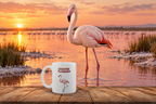 Greater Flamingo Coffee Mug – 11oz Ceramic Mug for Animals With Facts Series 3 Gifts