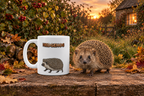 Hedgehog Coffee Mug – 11oz Ceramic Mug for Animals With Facts Series 3 Gifts