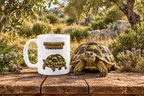 Hermann's Tortoise Coffee Mug – 11oz Ceramic Mug for Animals With Facts Series 3 Gifts