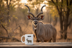 Kudu Coffee Mug – 11oz Ceramic Mug for Animals With Facts Series 1 Gifts