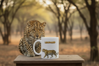 Leopard Coffee Mug – 11oz Ceramic Mug for Animals With Facts Series 1 Gifts
