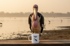 Marabou Stork Coffee Mug – 11oz Ceramic Mug for Animals With Facts Series 1 Gifts