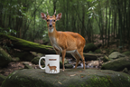 Muntjac Coffee Mug – 11oz Ceramic Mug for Animals With Facts Series 2 Gifts