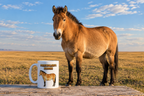 Przewalski’s Horse Coffee Mug – 11oz Ceramic Mug for Animals With Facts Series 2 Gifts