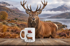 Red Deer Coffee Mug – 11oz Ceramic Mug for Animals With Facts Series 3 Gifts