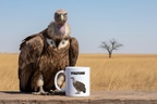 Vulture Coffee Mug – 11oz Ceramic Mug for Animals With Facts Series 1 Gifts