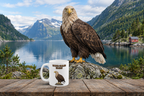 White-tailed Eagle Coffee Mug – 11oz Ceramic Mug for Animals With Facts Series 3 Gifts
