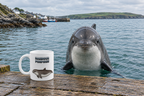 Harbour Porpoise Coffee Mug – 11oz Ceramic Mug for Animals With Facts Series 3 Gifts